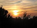 Ile.Rousse.2010 026